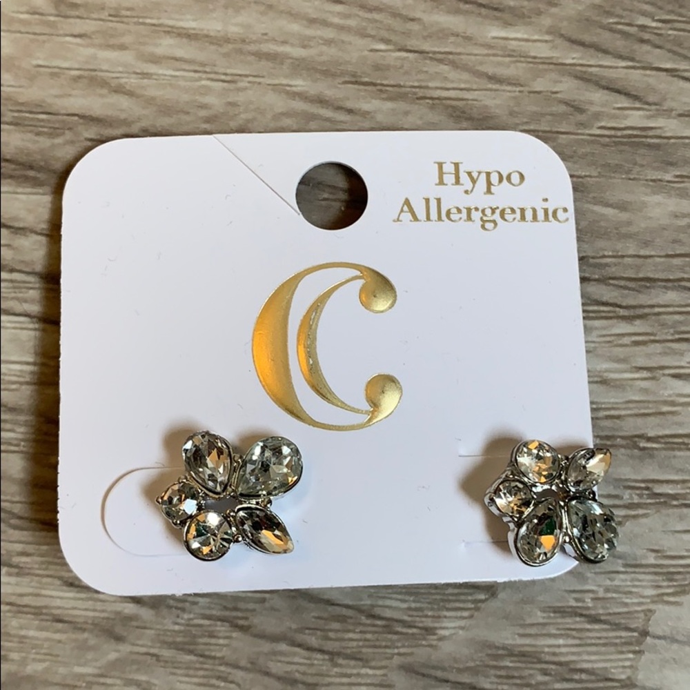 Charming Charlie Earrings